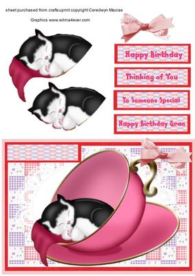 Little Kitten Taking Forty Winks in the Tea Cup