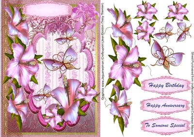 Lovely Hibiscus and Butterflys