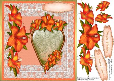 Beautiful Hibiscus in Orange