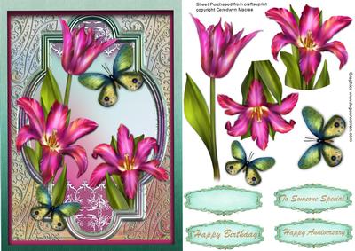 Lovely Pink Spring Tulips