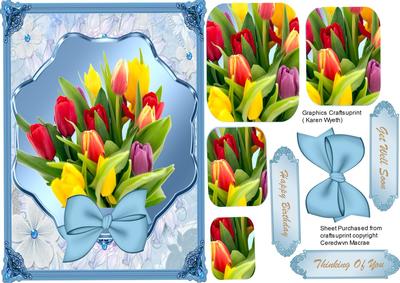 Beautiful Tulips in (pyramarge )