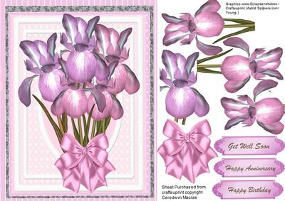 Lovely Pale Lilac Irises