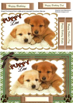 Beautiful Cuddly Puppy Love