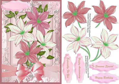 Beautiful Clematis in Pink and Cream
