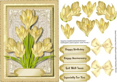 Lovely Cream Crocus on a Lace Mat