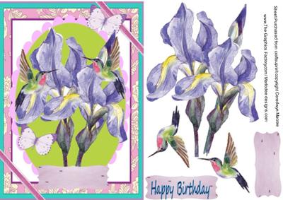 Beautiful Iris and Humming Birds