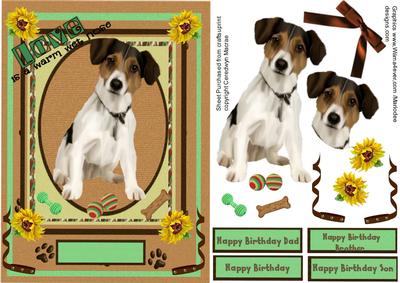 Lovely Proud Jack Russell Dog
