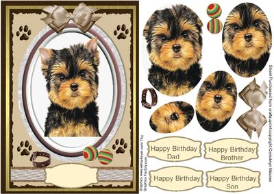 A Beautiful Yorkshire Terrier Pup (pyramarge)