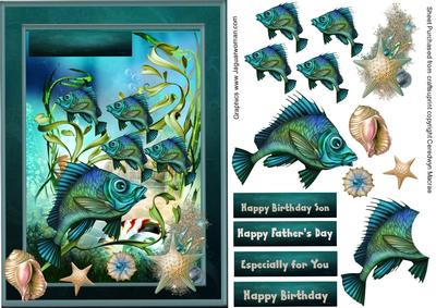 Lovely Shoal of Fish