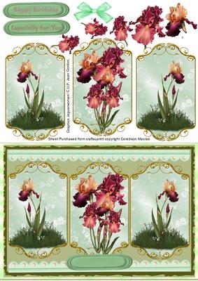 Lovely Bearded Irises on Gilded Plaques