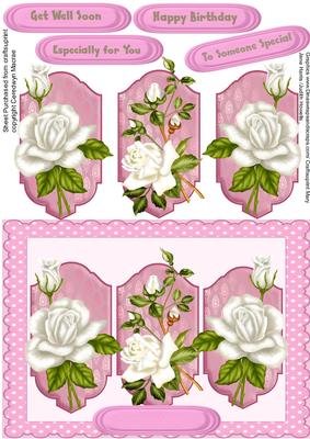 Beautiful White Roses on a Pink Plaque