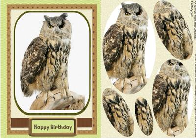 Beautiful Owl Sitting on a Log ( Pyramarge )