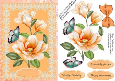 Beautiful Orange Magnolias in a Lace Frame