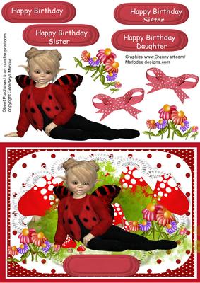 The Little Ladybird Fairy