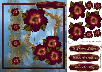 Beautiful Wine Hibiscus Flowers