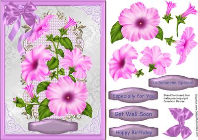 Lovely Pink Petunias