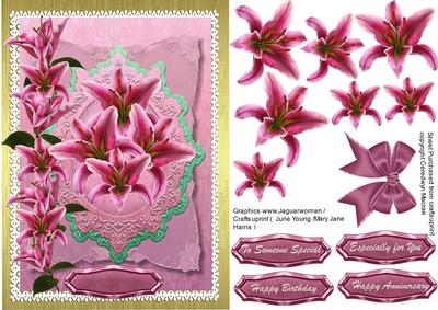 Lovely Stargazing Lillys
