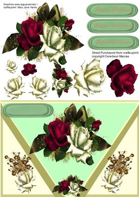 Lovely Envelope Card with Roses