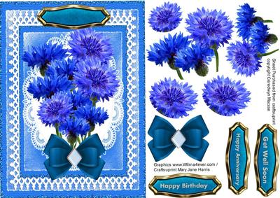 Beautiful Blue Cornflowers on White Lace