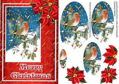Lovely Christmas Robin in Pyramarge