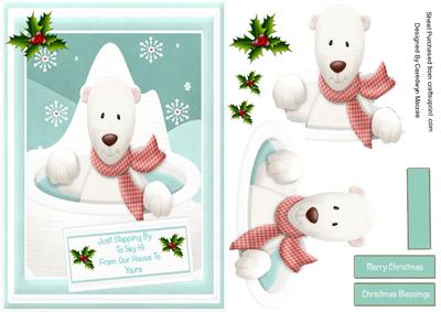 Lovely Pola Bear Just Stopping By