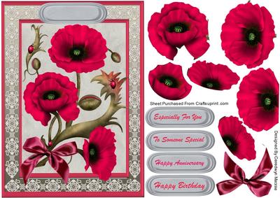 Stunning Deep Pink Poppys