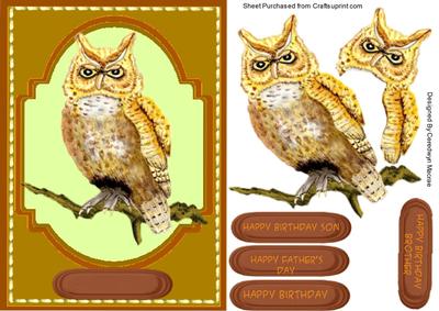 Lovely Tawney Owl on a Branch