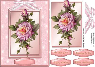 Beautiful Pink Roses Ona Double Frame