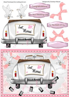 Lovely Wedding Day Car in Pink and White