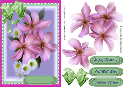 Lovely Pink Clematis and Daisys