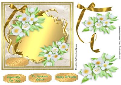 Beautiful White Apple Blossom
