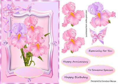 Beautiful Pink Irises on a Ornate Mate