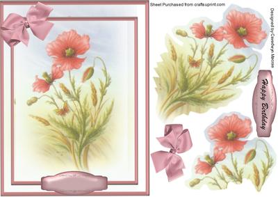 Lovely Feathered Poppy