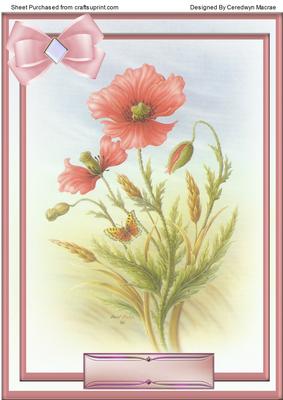 Lovely A4 Pink Poppys