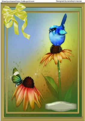 Stunning Bluebird on a Cone Flower