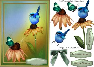 Lovely Bluebird and Butterfly