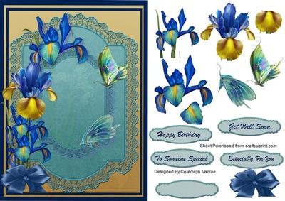 Beautiful Irises and Butterflys