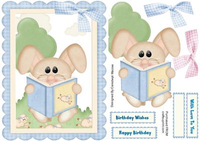 The Little Story Tellar Rabbit.
