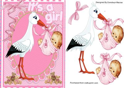 Lovely Stork with Baby Girl