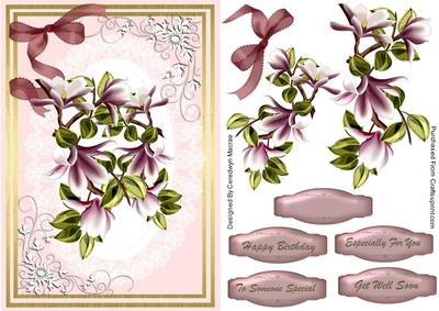 Lovely Magnolias and White Lace