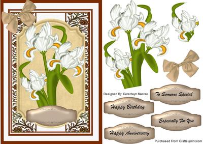 Lovely White Irises on Brown Lace Mat 