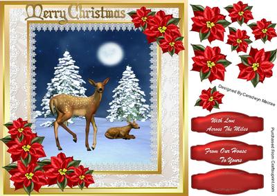 Lovely Christmas Snow Scene and Red Poinsetias