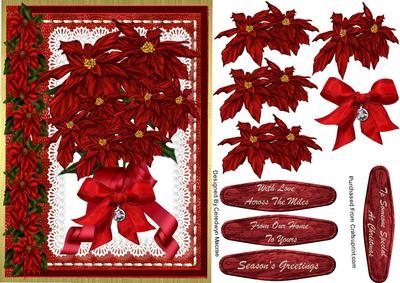 Lovely Christmas Poinsettias on a Lace Mat .