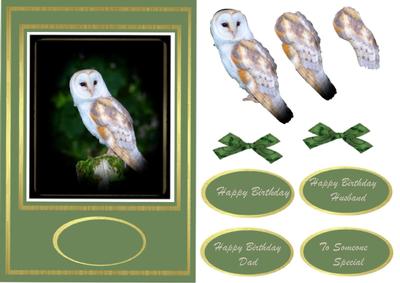 Beautiful Barn Owl on a Log