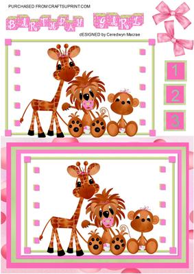 Lovely Little Jungle Girls Birthday