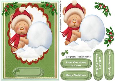 Lovely Snow Bear and Snowball