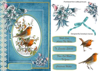 Lovely Robins and Winter Flowers