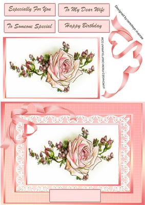 Beautiful Pale Pink Roses and Lace