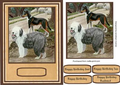 Beautiful Old English Sheep Dog ( Dulex )