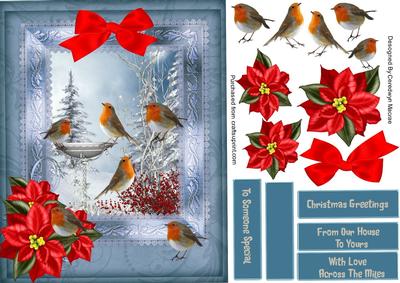 Christmas Robins Talking a Bath 